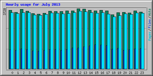 Hourly usage for July 2013